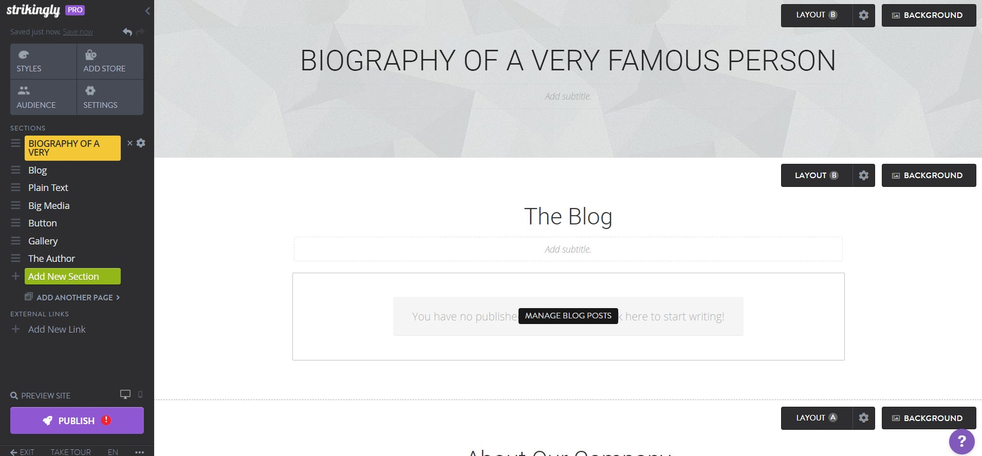 Image taken from Strikingly Product Image taken from Strikingly Product